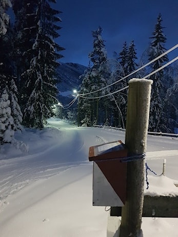 VINTER-O-POSTER